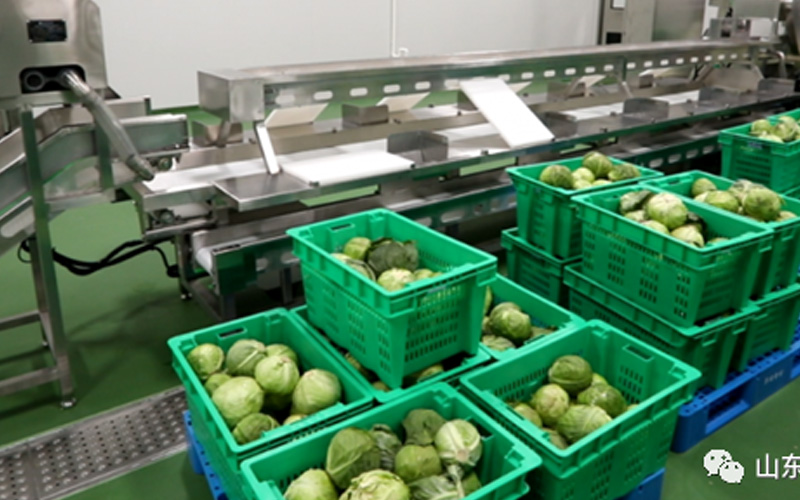 【科普】塑料周转筐的应用范围及好坏辨别方法